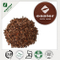 Pine Bark Extract