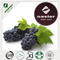 Grape Skin Extract