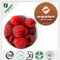 Raspberry Extract