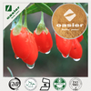 Wolfberry Extract