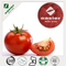 //iirnrwxhijmp5p.ldycdn.com/cloud/mrBnrKRjlSijllqo/Tomato-fanqie-60-60.jpg