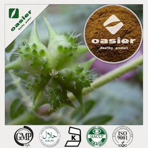Tribulus Terrestris Extract