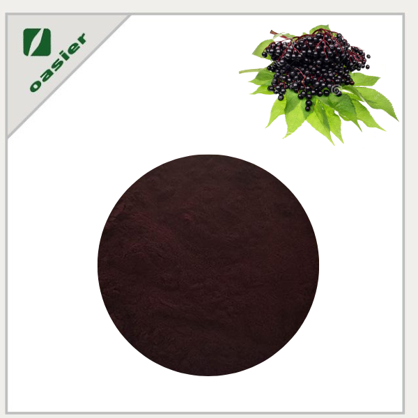 What is Elderberry Extract