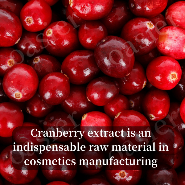 Cranberry extract - the darling of cosmetics industry