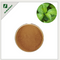 //iirnrwxhijmp5p.ldycdn.com/cloud/qiBqrKRjjSrqrppjlri/Health-Supplement-Herb-Medicine-Folium-Isatidis-Extract-60-60.png