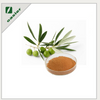 Organic Olive Leaf Extract