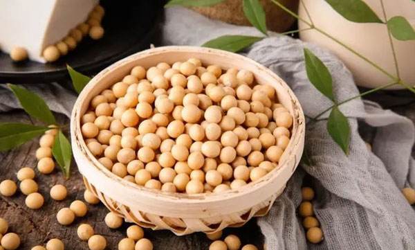 What is soybean phosphatidylcholine raw material