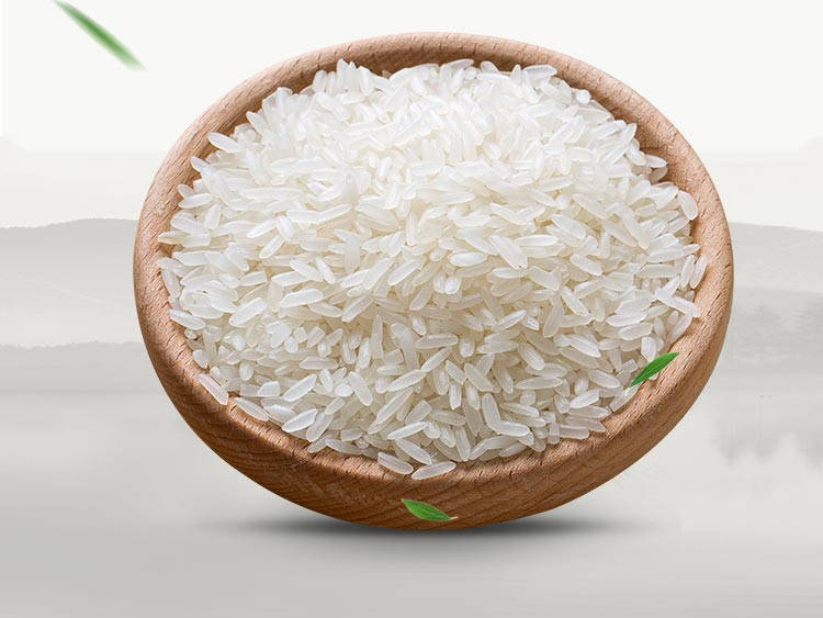 Solutions to Nutritional Imbalance-rice protein powder