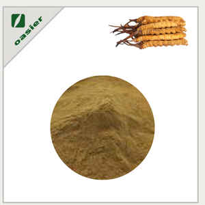 Cordyceps Sinensis Extract Powder